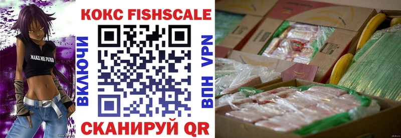 Cocaine FishScale  Богородицк 