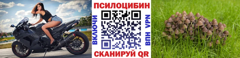 Галлюциногенные грибы ЛСД  OMG   Богородицк 